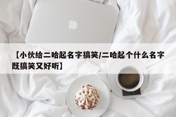 【小伙给二哈起名字搞笑/二哈起个什么名字既搞笑又好听】