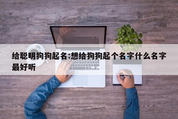 给聪明狗狗起名:想给狗狗起个名字什么名字最好听